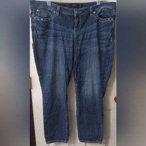 Torrid Premium Skinny Bling Embroidered Jeans (22)